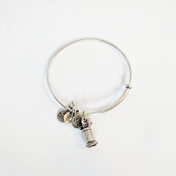 Alex and Ani Silver Mint Julip RARE Charm Bracelet